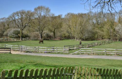 Lily Pad 1 - Uk49648 - Foto 20