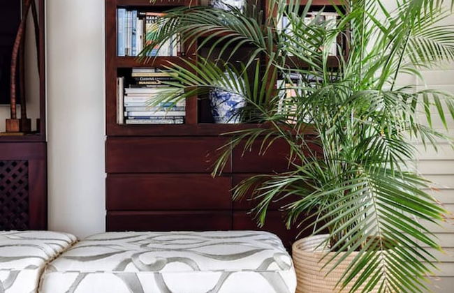 Clifton Views - Oceanfront Home - Foto 34