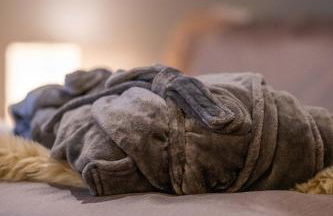 Cottage Apartment - Foto 29