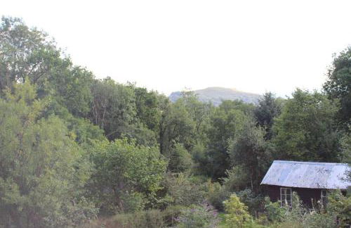 Rhandirmwyn - Cottage - Sleeps 4 - Pet Friendly - Foto 59