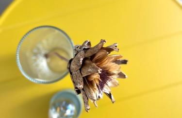 Porta 1923 Bed and Art - Foto 34