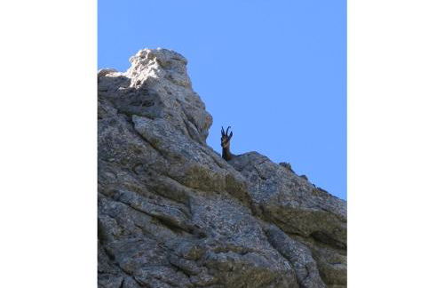 Holiday apartment with 2 bedrooms - Foto 24