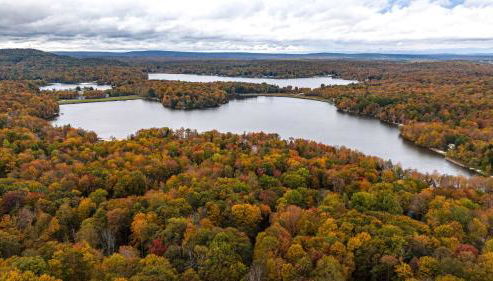 Hot Tub Fire Pit Dog Friendly - Foto 4