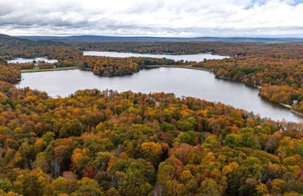 Hot Tub Fire Pit Dog Friendly - Foto 4