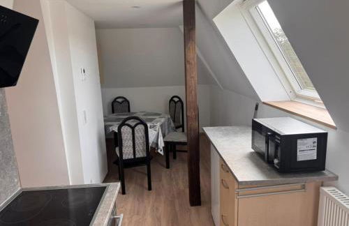 NEU! Ferienwohnung Elsteraue DG oben - Foto 3