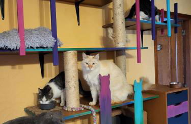 Casafavorita - Meer- und Teideblick für Zwei - Foto 45