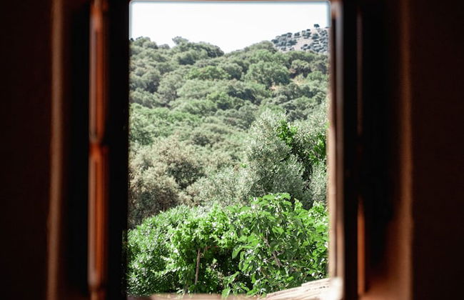 Algaba de Ronda - Foto 53