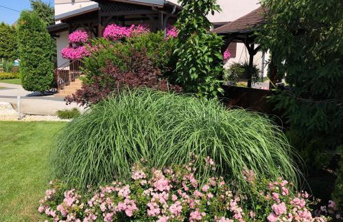 WILLA MAGNOLIA - Apartamenty i Pokoje SPRZĘT DO POŁAWIANIA BURSZTYNU -wodery, podbieraki, latarki UV - POKÓJ ZABAW- ROWERY - KAWA Z EKSPRESU - Foto 54