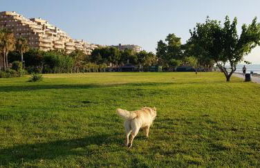 primera linea acapulco III - Photo 16