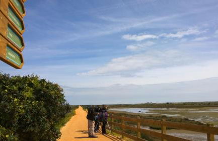 Blue&Greens Apartment - Foto 19