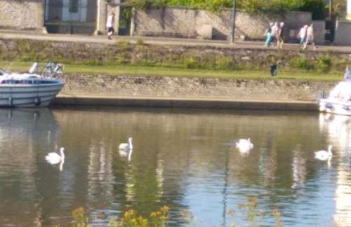 Au Gray des Flots - Foto 27