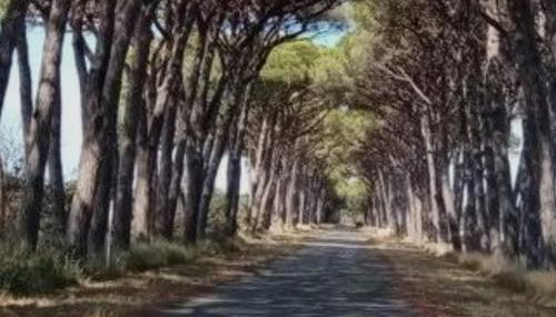 La Casina di Dudy - Foto 2