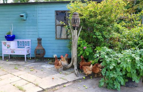 The White House - Photo 26