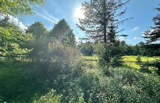 Chalets Val-David - Foto 66