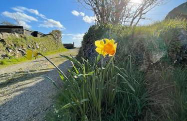 The Hut@Trefechan Wen - Coastal Coziness! - Photo 23