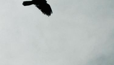 La Casita del Ojuelo - Foto 3