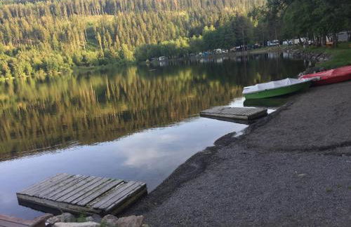 Titisee Haus Vogelnest - Photo 59