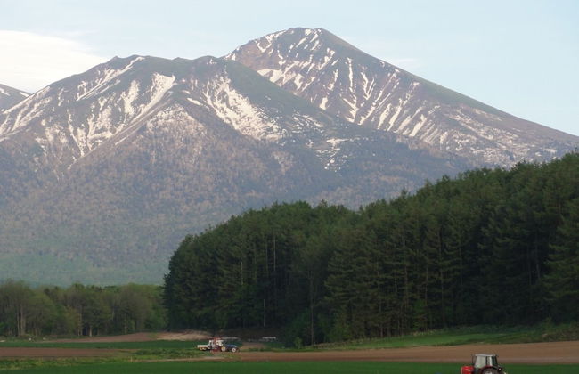 The Sanfurano - Foto 76