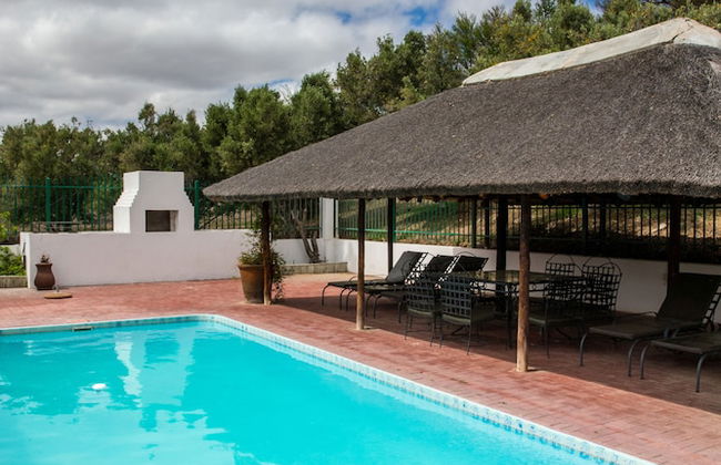 Olive Grove Guest Farm - Foto 17