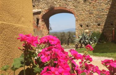 Mansarda degli Ulivi - Photo 9