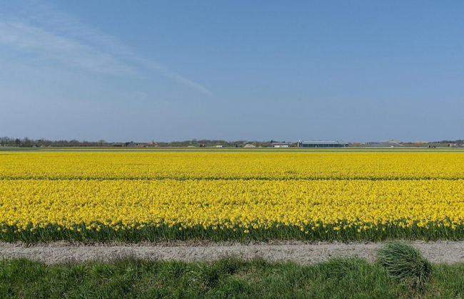 Holiday Home by Beach in Ooghduyne - Foto 30