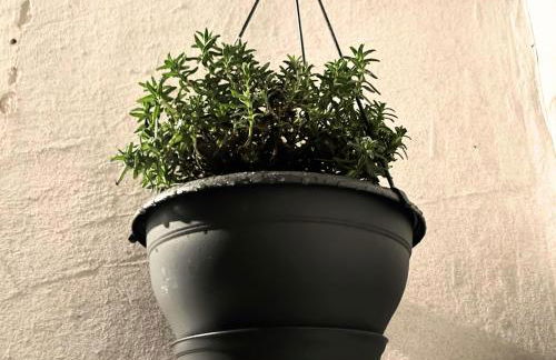 Le Charme D'Antan - Terrasse - Balcon - Hypercentre Evreux - Foto 21