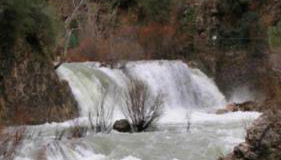 Apartamentos Buena Vista 1 - Foto 2