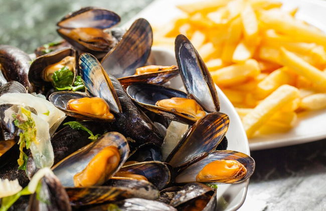 Hostel in Nieuwvliet Near the Beach - Photo 14