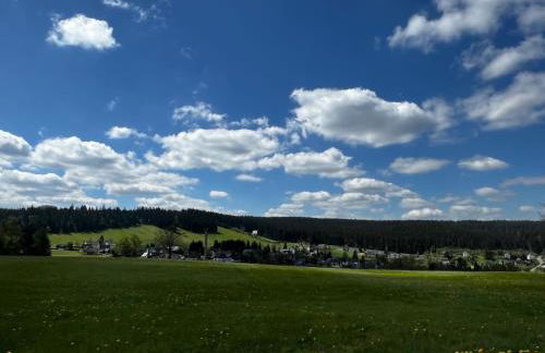 Ferienwohnungen Carlsfeld - Foto 64