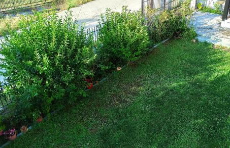 Pavlos House - Foto 35