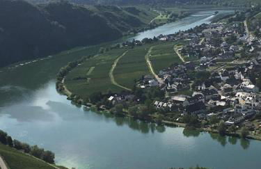 Eifel-Moezelhuis - Foto 54