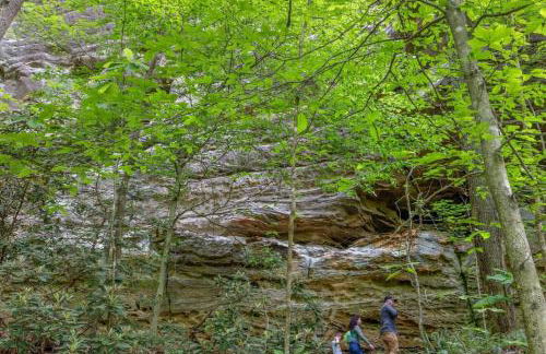 Beech Timber- 30 Acre Secluded Glamping in RRG - Foto 29