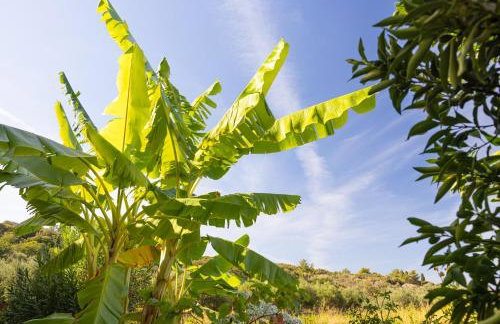 Lagos House Α - Photo 33