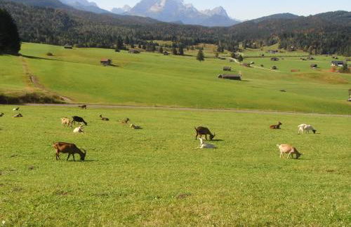 Gästehaus Anneliese - Foto 44