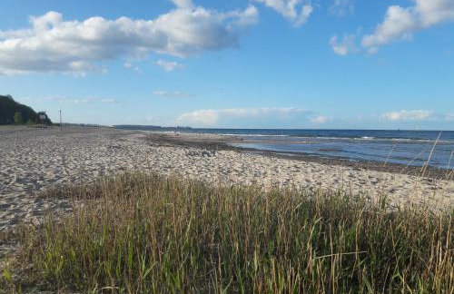 Öko Fewo Lachmöwe - Photo 4