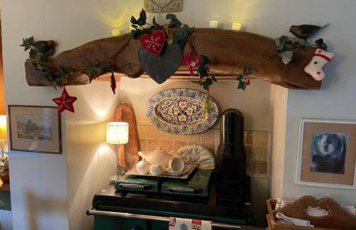 Anglesey 2 bedroom stone cottage dog friendly with EV - Foto 22