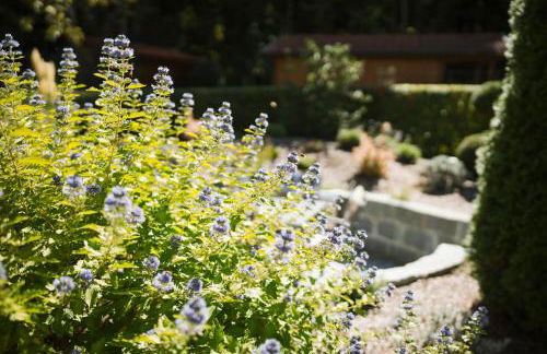 App.-Haus zur Europa-Therme - Foto 30