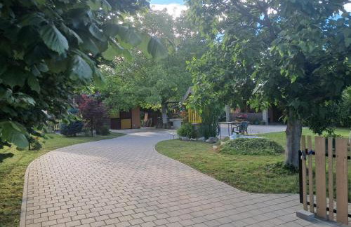 Paun - Photo 31