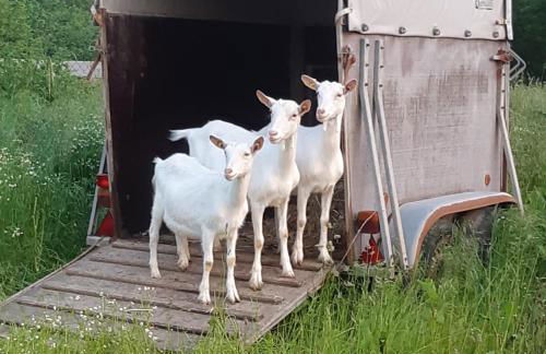 Am Hohestein - Foto 22