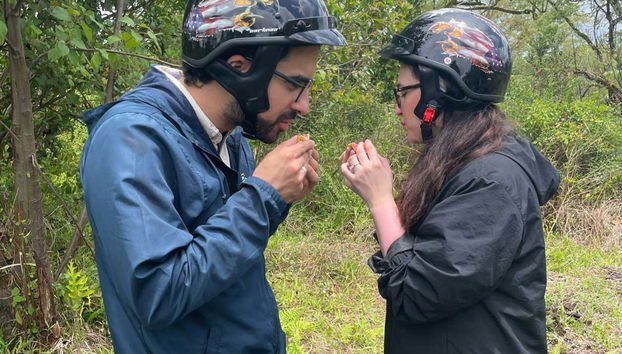 Try fresh Hawaiian fruit