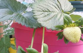 Cavos Seaside House - Foto 56