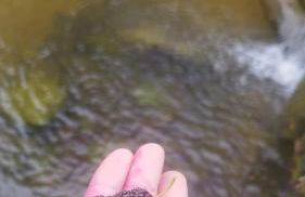 Sítio em ANGRA DOS REIS - Photo 8