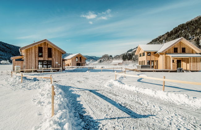 Superior # 15 mit IR-Sauna & Sprudelbad - Photo 31