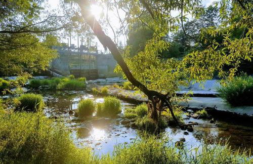 FeWo Lichtblick - Foto 54