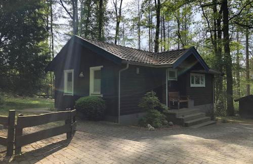 Waldhaus Möhnesee - Foto 22