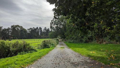 Gaer Hall Guilsfield a country mansion with hottub - Foto 3