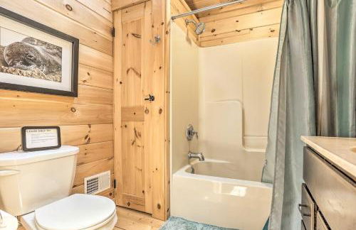 Palmerton Cabin with Game Room about 5 Mi to Blue Mtn - Foto 20