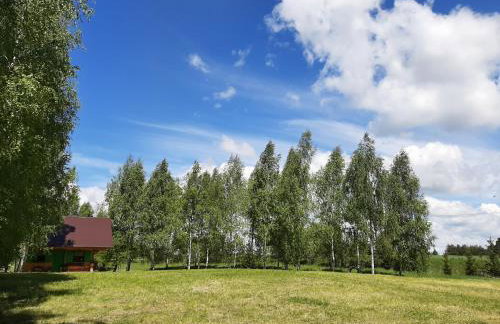 GREEN HOUSE - Foto 59