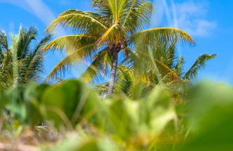 Village Porto Feliz Itacimirim - Foto 11