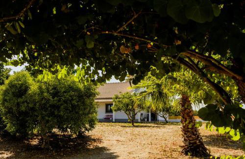 Quinta Alto da Capela - Foto 9